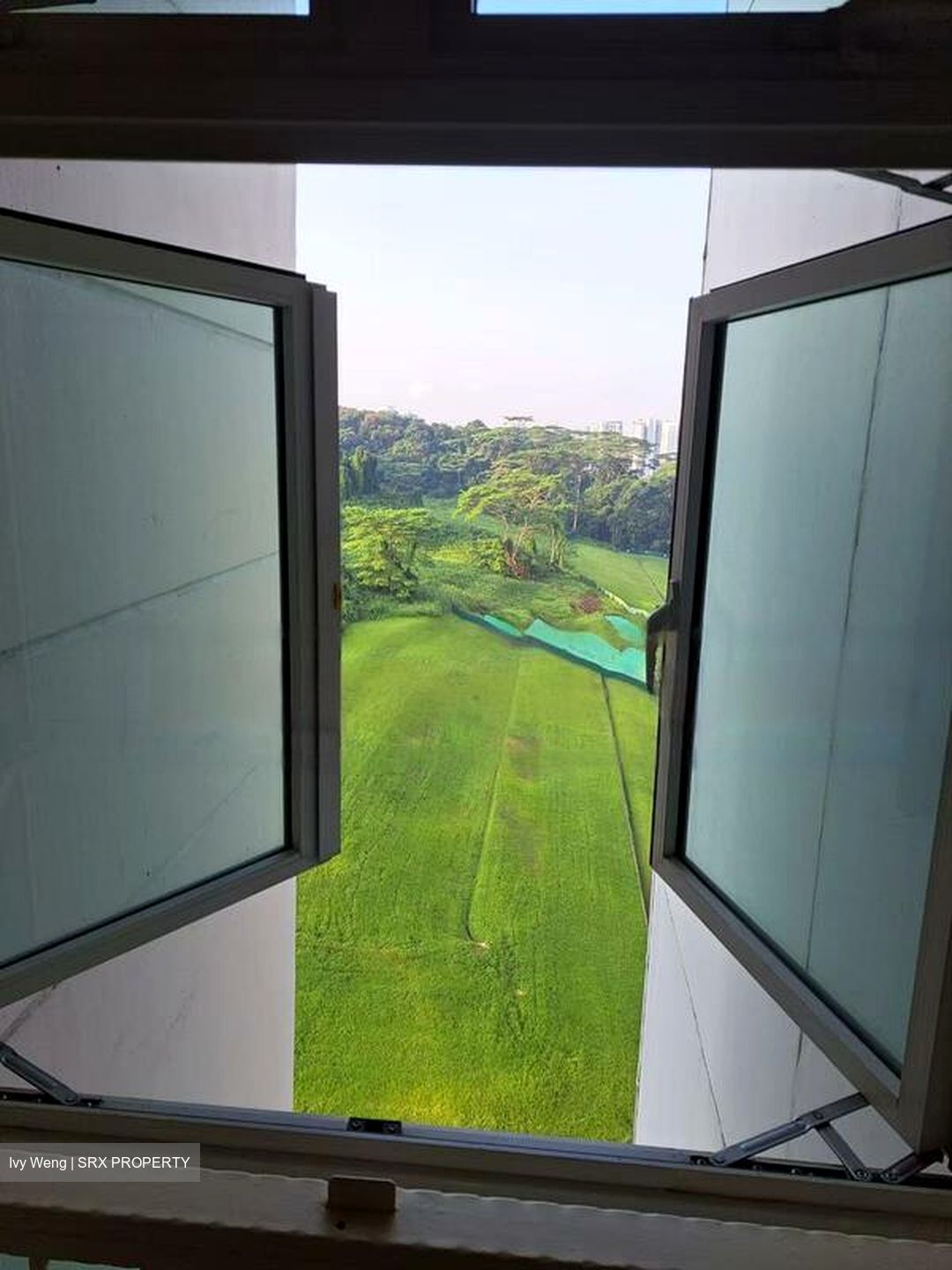 Blk 392 Goodview Gardens (Bukit Batok), HDB 4 Rooms #481071341